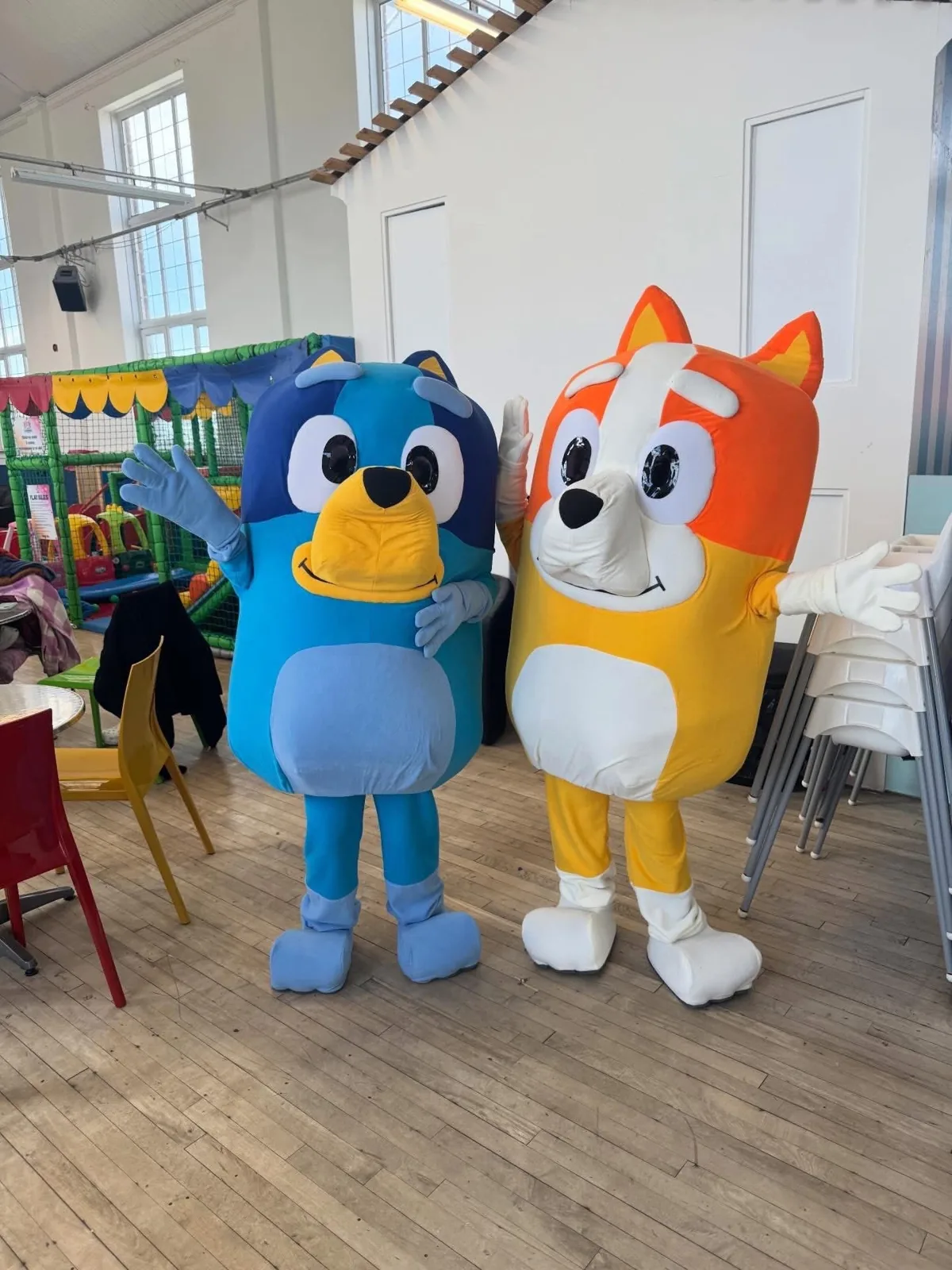 Bluey and Bingo Meet and Greet